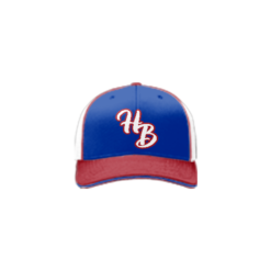 3764 R_P FLEX FIT CAP 172 HAS-BEENS-2