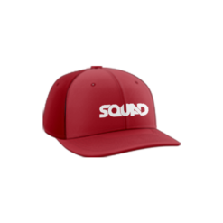 3768 R_P FLEX FIT CAP PTS30 SQUAD-1