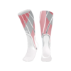 3768 FIELD STIRRUPS SQUAD-2