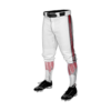 3768 MENS BASEBALL KNICKER PANT SQUAD-2