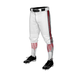 3768 MENS BASEBALL KNICKER PANT SQUAD-2