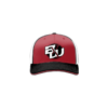 3488 R_P FLEX FIT CAP 172 BLACK-WIDOWS-1