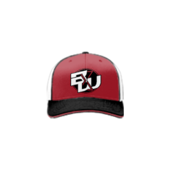3488 R_P FLEX FIT CAP 172 BLACK-WIDOWS-1