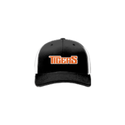 2217 R_P FLEX FIT CAP 172 TIGERS-ADDONS