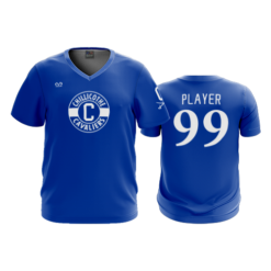 3760 MENS SPORT V NECK