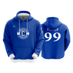 3760 UNISEX FLEECE HOODY
