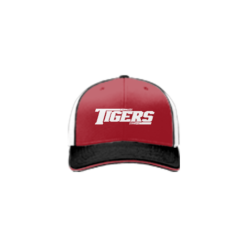 2573 R_P FLEX FIT CAP 172 CENTRAL-OHIO-TIGERS-1