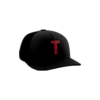 2573 R_P FLEX FIT CAP PTS30 CENTRAL-OHIO-TIGERS-1