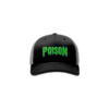 3773 R_P FLEX FIT CAP 172 MID-OHIO-POISON-1