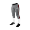 2811 WOMENS FASTPITCH PANTS CENTRAL-OHIO-STING-2