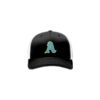 3137 R_P FLEX FIT CAP 172 ARMOLOY-1