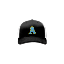 3137 R_P FLEX FIT CAP 172 ARMOLOY-1