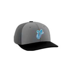 2551 R_P FLEX FIT CAP PTS30 VICE-1