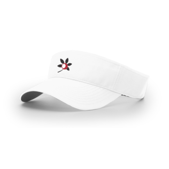 3486 RICHARDSON R160 VISOR