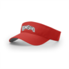 3486 RICHARDSON R160 VISOR