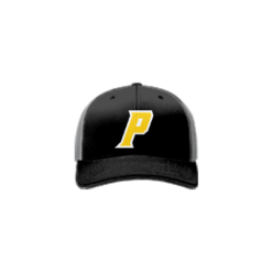 3787 R_P FLEX FIT CAP 172 OHIO-PASSION-1