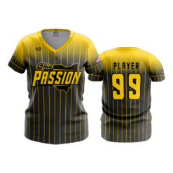 3787 WOMENS V NECK OHIO-PASSION-1