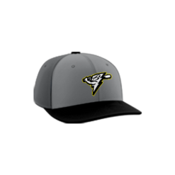 3185 R_P FLEX FIT CAP PTS30 SHOCKERS-1