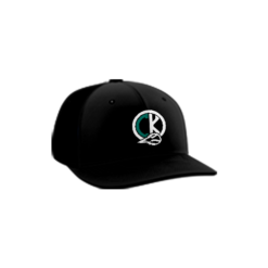 3794 R_P FLEX FIT CAP PTS30 COASTAL-KNOCKOUTZ-1