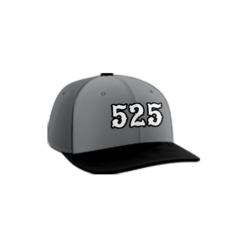 3790 R_P FLEX FIT CAP PTS30 UA-LOCAL-525-1