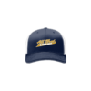 3791 R_P FLEX FIT CAP 172 ALA-THAT-AND-THEN-SOME-1