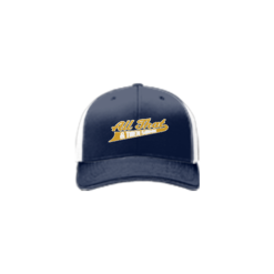 3791 R_P FLEX FIT CAP 172 ALA-THAT-AND-THEN-SOME-1