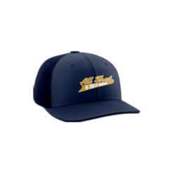3791 R_P FLEX FIT CAP PTS30 ALA-THAT-AND-THEN-SOME-1