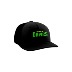 3792 R_P FLEX FIT CAP PTS30 SHEP-DAWGS