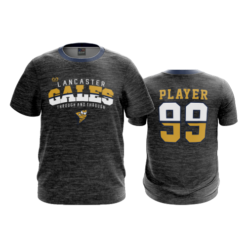 3786 MENS SPORT CREW NECK LANCASTER-GALES