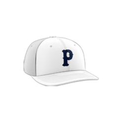 3805 R_P FLEX FIT CAP PTS30 MOV-PREMIER-1