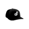 3797 R_P FLEX FIT CAP PTS30 SLUGGERS-1