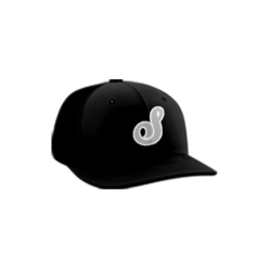 3797 R_P FLEX FIT CAP PTS30 SLUGGERS-1