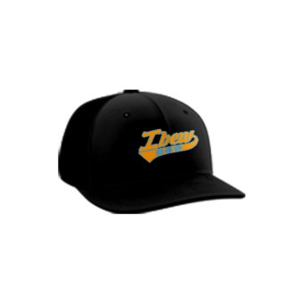 2944 R_P FLEX FIT CAP PTS30 IBEW-ADDONS