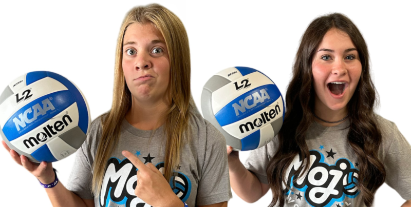 Mojo Volleyball Mojo Usa