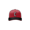 3819 R_P FLEX FIT CAP 172 CRUSHERS-1