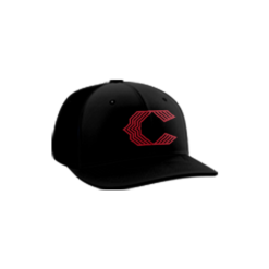 3819 R_P FLEX FIT CAP PTS30 CRUSHERS-1