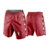 3818 MENS MIRCO FIBER 160gsm SHORT VIPERS-BASKETBALL
