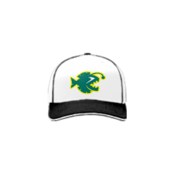3822 R_P FLEX FIT CAP 172 O-SEA-D-1