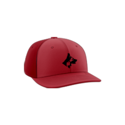 1375 R_P FLEX FIT CAP PTS30 DOGS-1