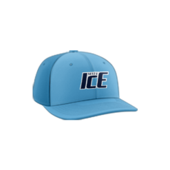 3656 R_P FLEX FIT CAP PTS30 MOV-ICE-1