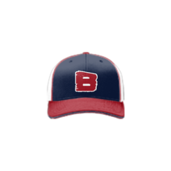 3820 R_P FLEX FIT CAP 172 THE-BOYS-1