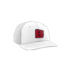 3820 R_P FLEX FIT CAP PTS30 THE-BOYS-1