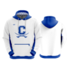 1171 3 POCKET TERRY FLEECE HOODY
