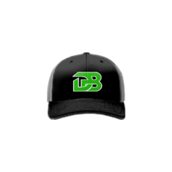 3664 R_P FLEX FIT CAP 172 DIAMOND-BEAST-1