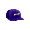 3664 R_P FLEX FIT CAP PTS30 DIAMOND-BEAST-1