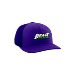 3664 R_P FLEX FIT CAP PTS30 DIAMOND-BEAST-1