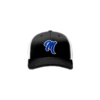 3838 R_P FLEX FIT CAP 172 MARYSVILLE-1