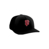 3595 R_P FLEX FIT CAP PTS30 STATE-FARM-1