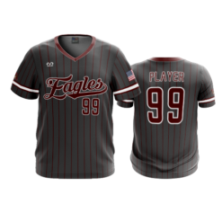 3848 MENS SPORT V NECK NA-EAGLES-2