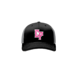 3858 R_P FLEX FIT CAP 172 CLOWN-PUNCHERS-1
